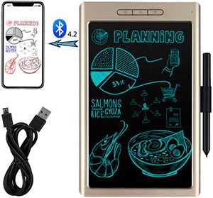 SHENGY 565-517-635 C Tableta de Escritura y Dibujo LCD de 10 Para niños, adultos y profesionales